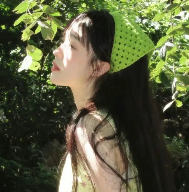 熊出没之丛林总动员