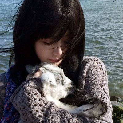 掩耳盗邻第一季